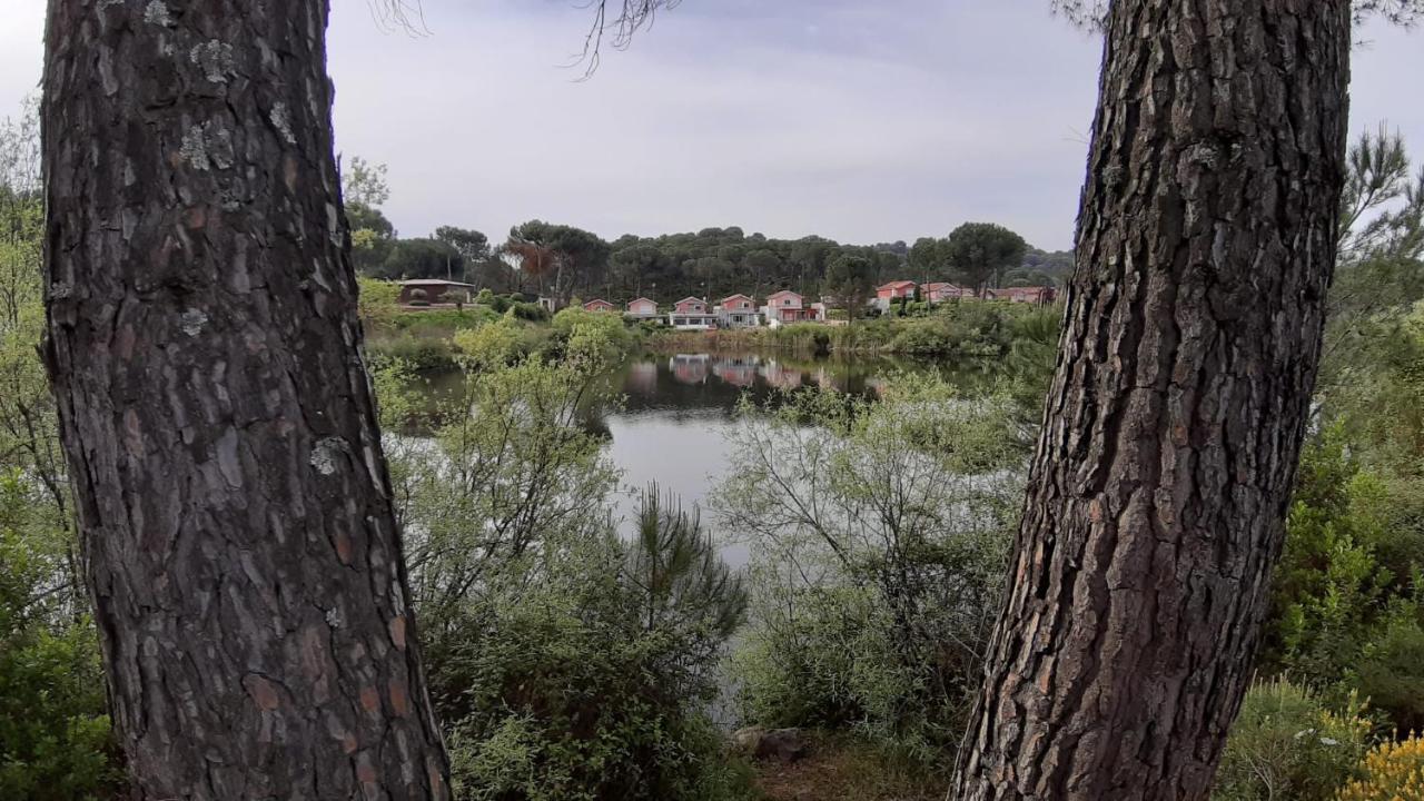 El Pinar Del Coto Villa กอร์โดบา ภายนอก รูปภาพ